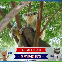 TF-MRG-TOP-AFFILIATE-AUSTRALIA-17